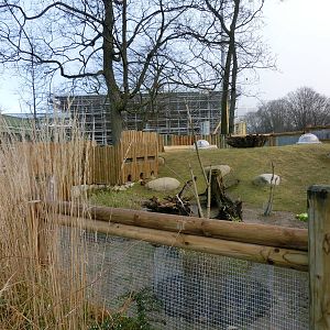 new guinea pig enclosure - Karlsruhe Zoo
