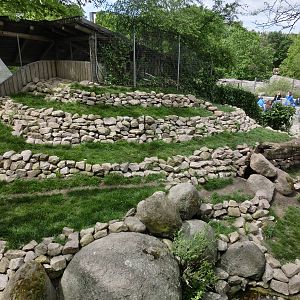 asian small-clawed otter exhibit - Karlsruhe Zoo