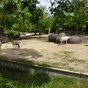 Karlsruhe Zoo - savannah exhibits