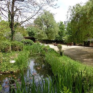 Karlsruhe Zoo - savannah exhibits