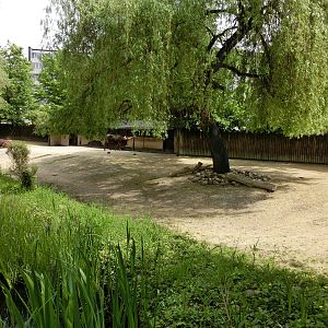 Karlsruhe Zoo - savannah exhibits