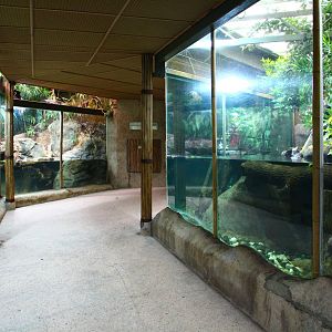 Freshwater Turtle exhibits