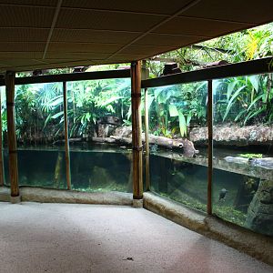 Southern River Terrapin exhibit