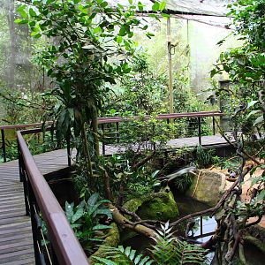 Reptile Walk-through exhibit