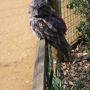 Definitely in a mood ...