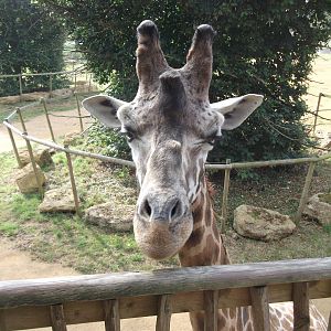 There`s a view you don`t see that often