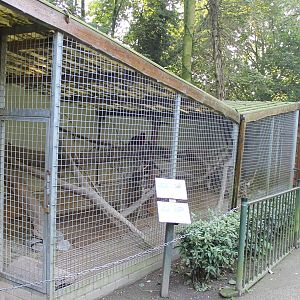 Enclosure Chacoan maras