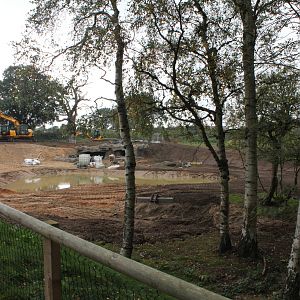 African Hunting dog enclosure 20-9-14