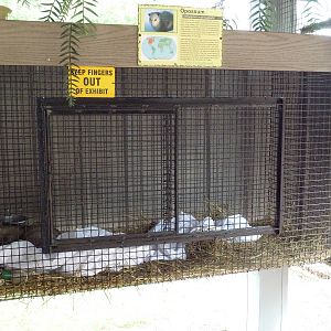 Opossum Cage