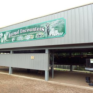 Animal Encounters Zone