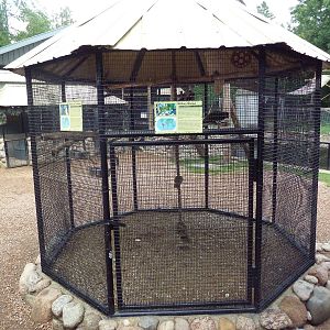 Moluccan Cockatoo/Military Macaw Exhibit