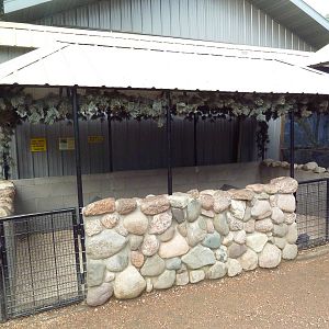 Dwarf Rabbit Exhibit