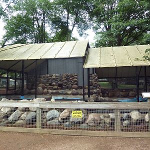 North American River Otter Exhibit