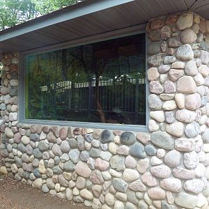 Red-Handed Tamarin Exhibit