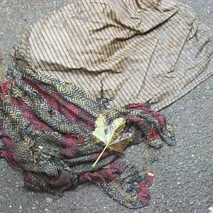 Now the cushion has got wet! 20th September 2014