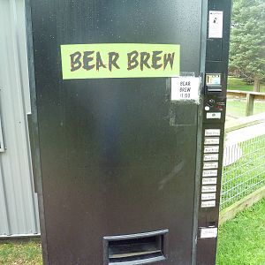 Bear Juice Dispenser