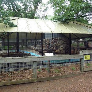 North American River Otter Exhibit