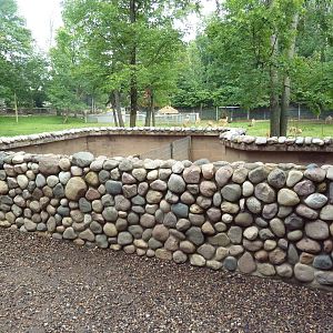 African Crested Porcupine Exhibits
