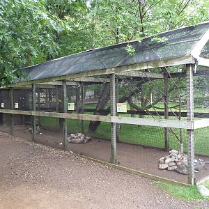Birds of the World Aviary (6 Species)