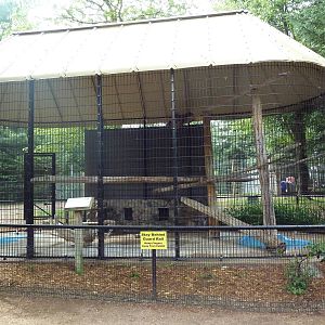 Serval Exhibit