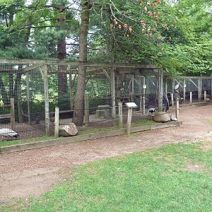 Assorted Aviaries