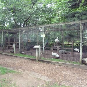 Assorted Aviaries