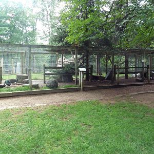 Assorted Aviaries