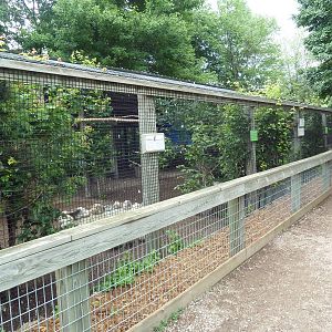 Bird of Prey Aviaries
