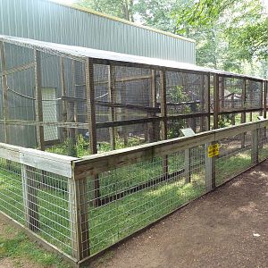 Lemur Exhibits (4 Species)