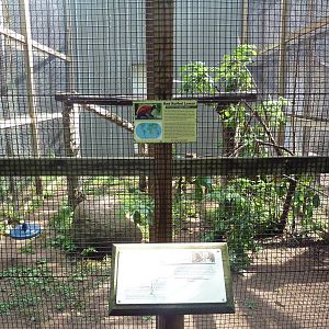 Red Ruffed Lemur/Brown Lemur Exhibit