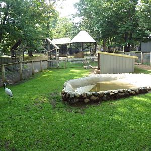 Demoiselle Crane/Capybara Exhibit