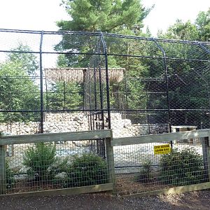 Striped Hyena Exhibit