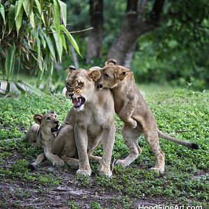 You kids are driving me nuts