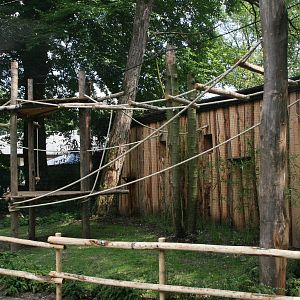 new extension at the back of the Gibbon house