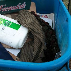 Mutiny!!!! A sad sight for the 1,000th photo in the Sewerby Gallery, 21st S