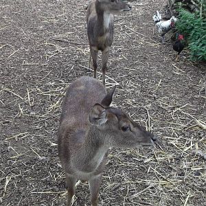 Who spotted the keeper ?