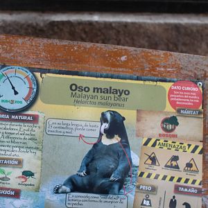 Buin Zoo - Malayan Sun Bear Exhibit