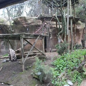 Buin Zoo - Malayan Sun Bear Exhibit