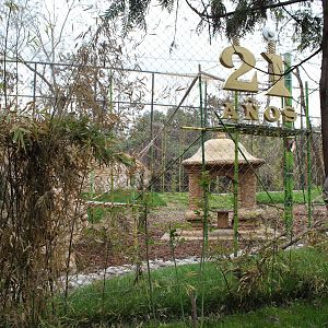 Bornean Orangutan Exhibit