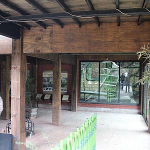 Bornean Orangutan Exhibit