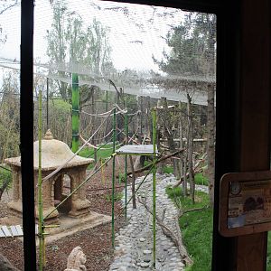 Bornean Orangutan Exhibit