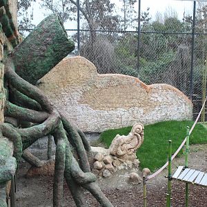 Bornean Orangutan Exhibit