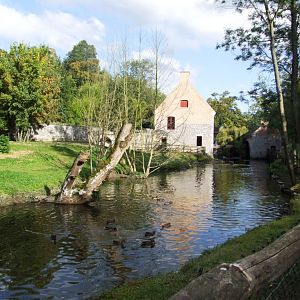 Tapir Enclosure at Pairi Daiza, 31/08/14