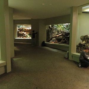 Vivarium - terrarium section