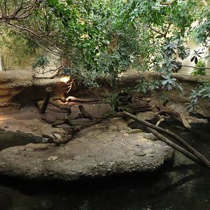 Vivarium - crocodiles