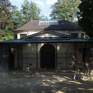 Antelope house - giraffe outdoors