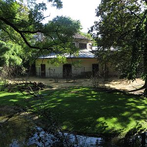Antelope house - lesser kudu outdoors