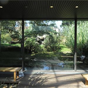 Ethosha house - cheetah viewing