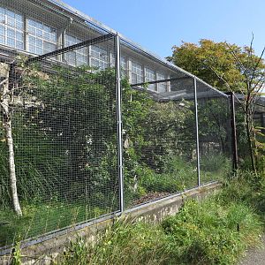 Bird house - outdoor aviaries