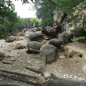 Etosha house - meerkat outdoors